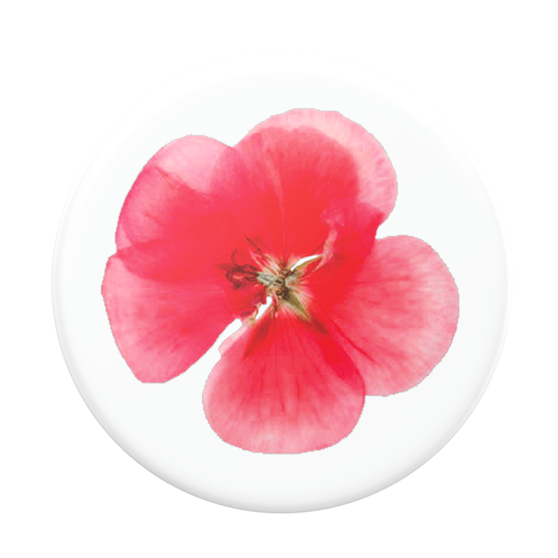 PopGrip Plant Red Flower image number 0